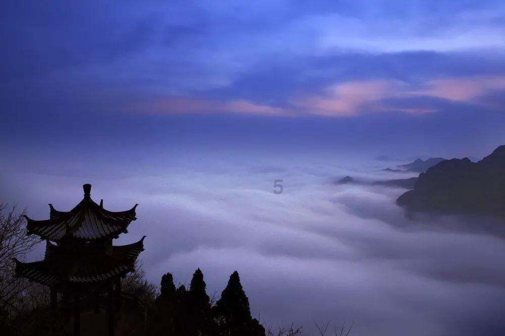 月光影视