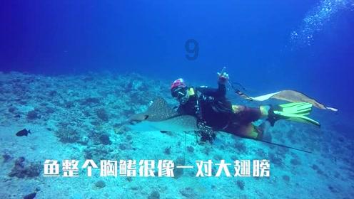 脑洞小老弟无实名认证